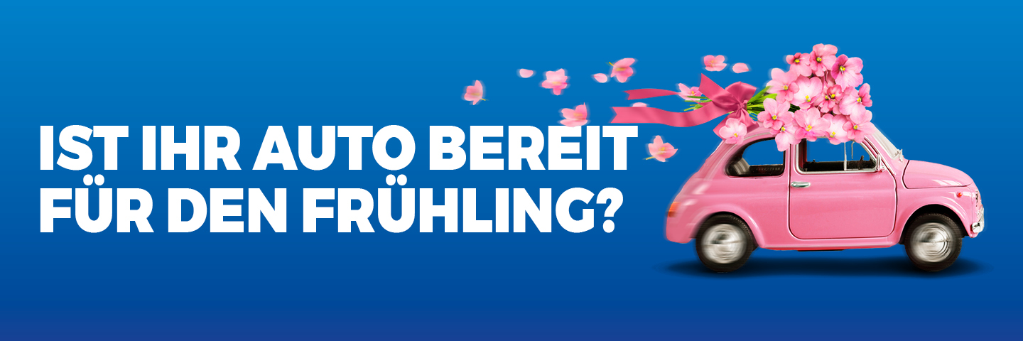 Auto Frühjahrscheck