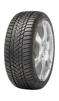 GOODYEAR ULTRAGRIP PERFORMANCE 2 MS