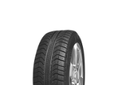 Tyre PIRELLI CINTURATO ALL SEASON 175/65 R14 82T