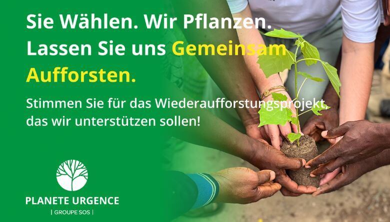 Gemeinsam Aufforsten