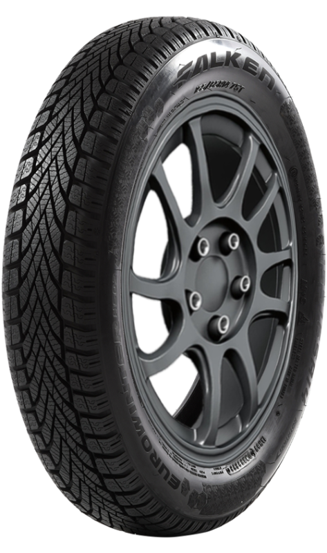 FALKEN EUROWINTER HS02