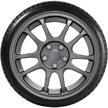 FALKEN EUROWINTER HS02PRO