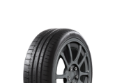 Reifen PIRELLI PZERO R